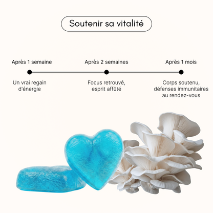 Mushroom Power — Vitalité