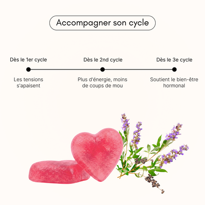SPM Balance — Équilibre du cycle